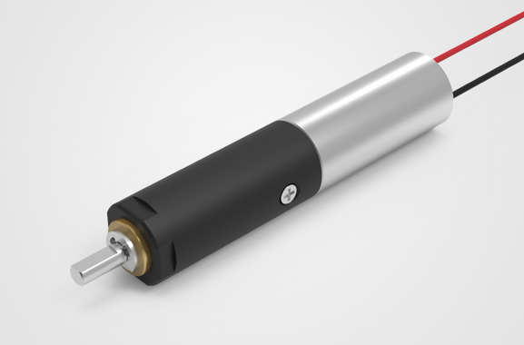 6Vֱ������