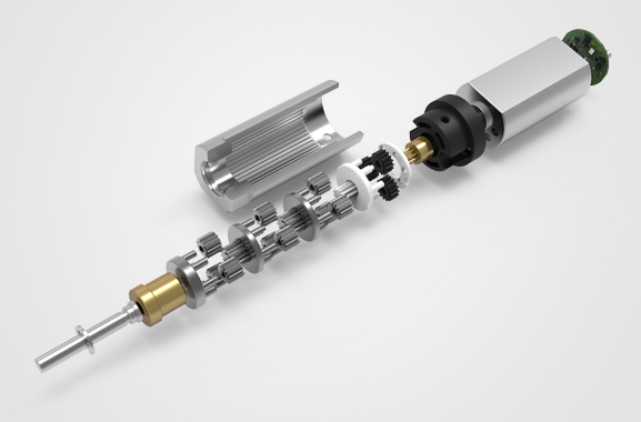 ֱ�����ǳ�����